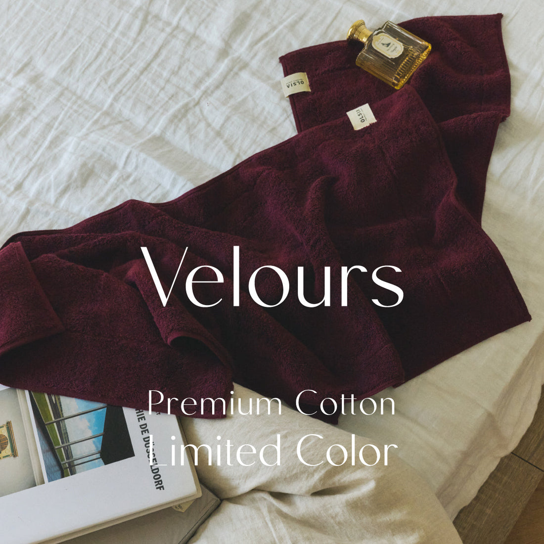 ホリデーシーズン限定色 Premium Cotton "Velours"