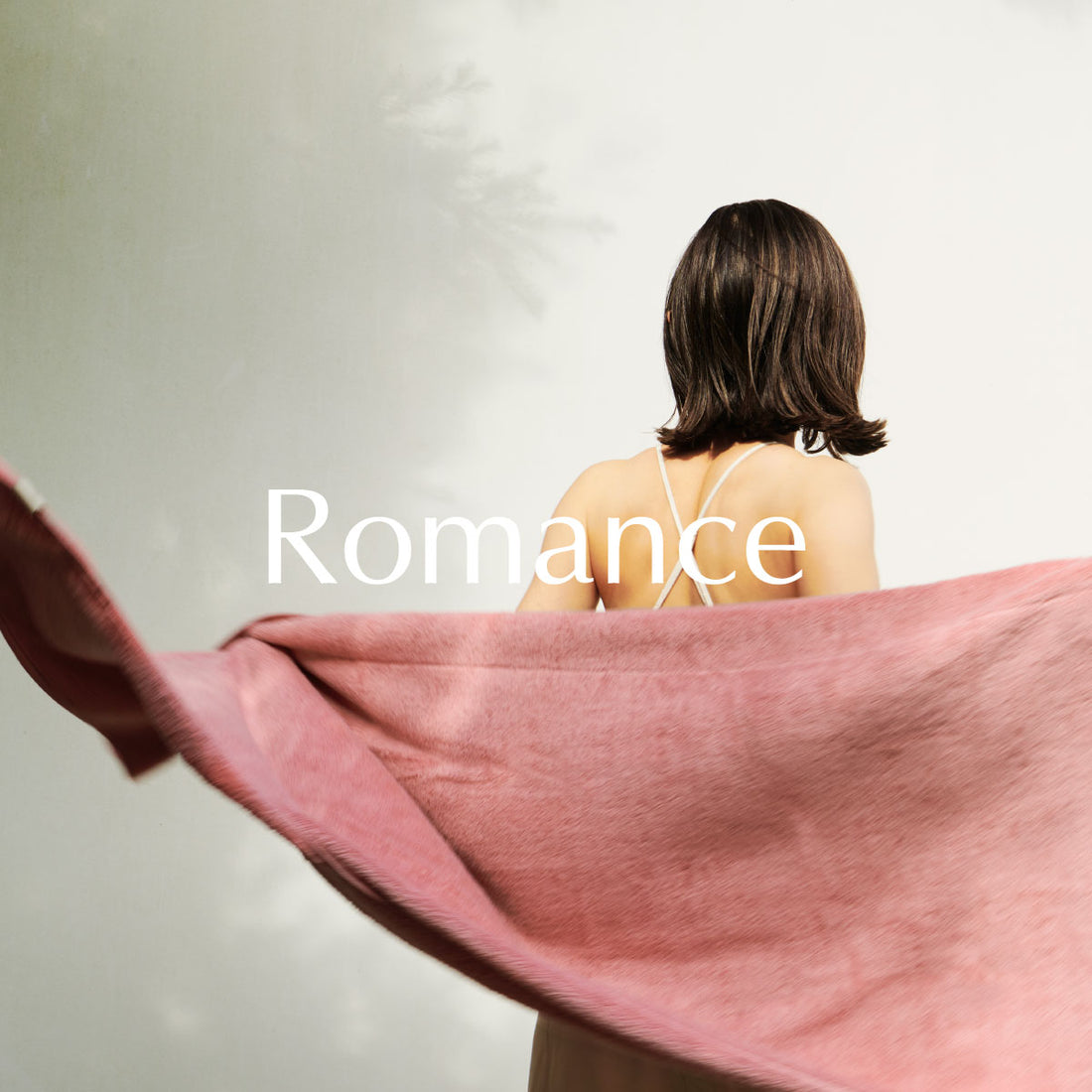 Premium Cotton 限定色"Romance（ロマンス）"登場＆プレゼントキャンペーン